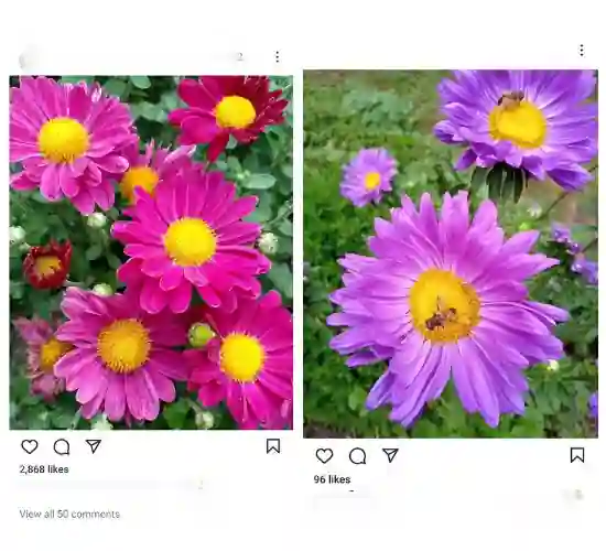 instavideosave reel download